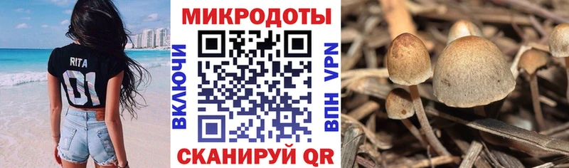 купить наркотик  Чебаркуль  Псилоцибиновые грибы мицелий 