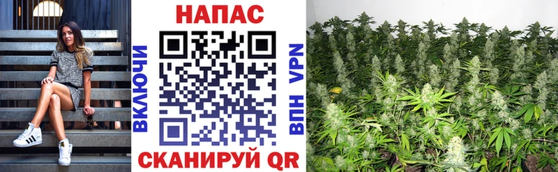 Канабис THC 21%  kraken как войти  Чебаркуль  купить  